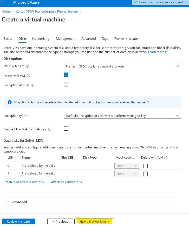 Zultys VM in Azure - Disks 